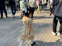 -野象谷景区