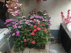 -丽江庭院之爱在路上(西单店)