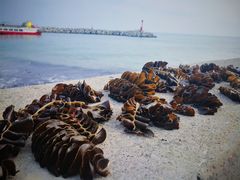 -海云台海滩