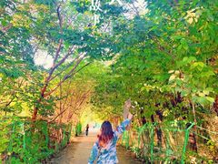 -亲兄弟真人CS团建拓展基地