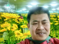 -天津梵高星空艺术馆(天河城旗舰店)