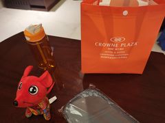 -深圳富苑皇冠假日套房酒店