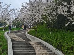 -杭州少年儿童公园