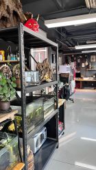 -周忆刺青原创设计定制