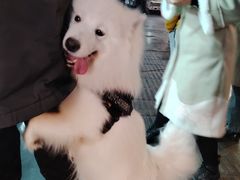 -鼓楼夜市