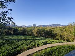 -滨河世纪广场公园