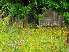 -北京西山国家森林公园