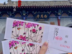-洛阳白马寺