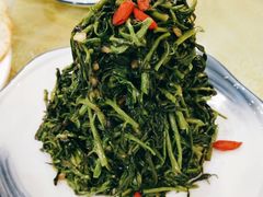 清香枸杞苗-国强手抓(北京西路店)