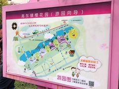 -高东镇樱花园