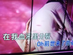-温莎KTV(珠江路店)
