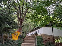 -上海佘山国家森林公园天马山园