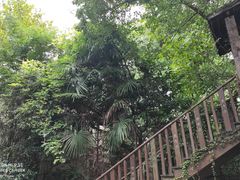 -巴金故居