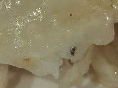 -蓝湾碧波·老字号·疍家非遗海上餐厅