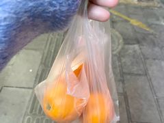 -野菌王•养生汤锅•野生菌火锅(大理漾濞路店)