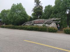 -中国扬子鳄村