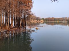 -长广溪湿地公园