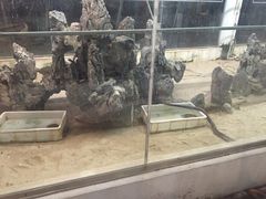 荔城美食-荔城生鲜盛宴(番禺旗舰店)