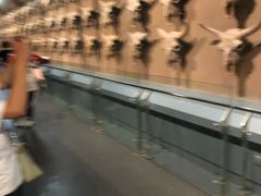 -大庆市博物馆