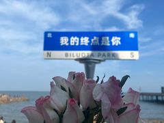-北戴河碧螺塔海上酒吧公园