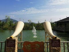 -一煲鸽