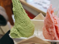 -野人先生现做冰淇淋(西安赛格店)