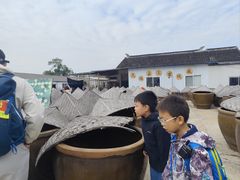 -苏州市吴中区光福窑上花果蜜饯厂