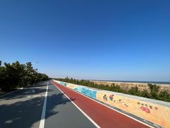 -日照海滨国家森林公园