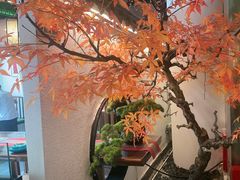 -荷塘秋月·本帮江浙菜(国权路店)