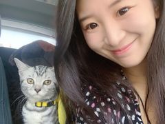 -北京观赏动物医院·24小时大型综合·猫专科·异宠专科