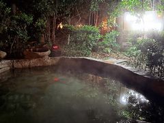 -深业半汤御泉庄温泉