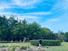 -白塘生态植物园