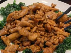 -金燕岛潮州酒楼