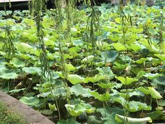 -绍兴鉴湖君澜大酒店