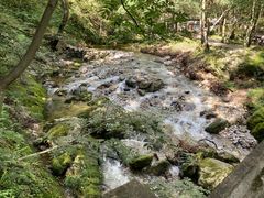 -牛背梁国家森林公园