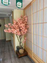 -茉秀必瘦站