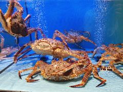 -阿伟海鲜楼·福建菜(延寿店)