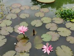 -国家植物园南园