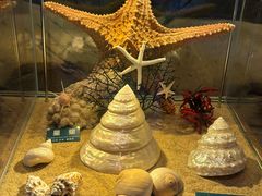 -梦幻海洋王国(吾悦广场张家港店)