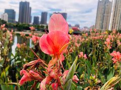 -龙江公园