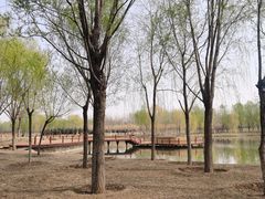 -东郊湿地公园