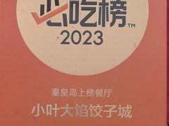 -小叶大馅饺子城