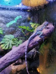 -酷嗒动物文化乐园(cutezoo西溪乐天城店)