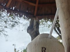 -三亚海棠湾万丽度假酒店