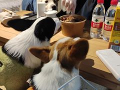 -王浩儿纪六孃甜皮鸭(东大街店)