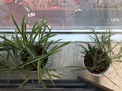 -帝京日语(春熙路旗舰校区)