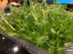 -东椰·海南椰子鸡火锅(朝阳门店)