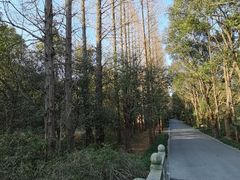 -同里国家湿地公园