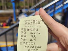 -上海共青森林公园