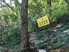 -灵顺寺
